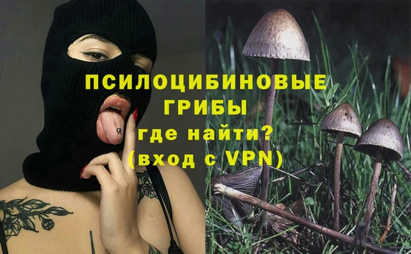 СК Алексеевка