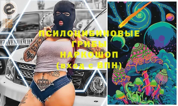 СК Алексеевка