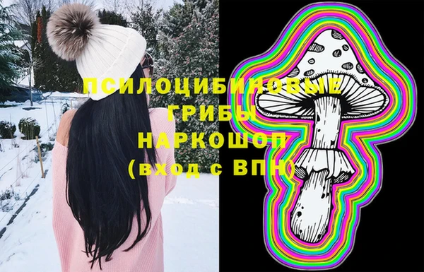 эйфоретик Алексин