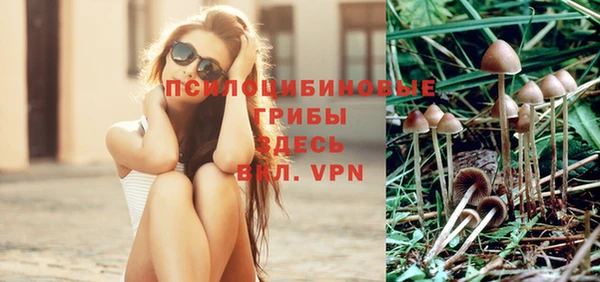 СК Алексеевка